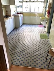 Blk 8 Holland Avenue (Queenstown), HDB 3 Rooms #584462791
